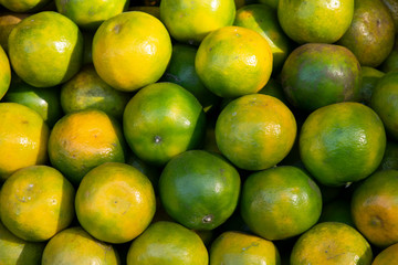Tangerine oranges Green and orange for sale in the colorful fruit market.