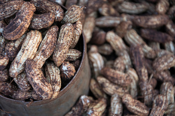 peanut in dirty shell texture background