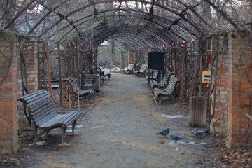 Trampled path for walking pedestrians in a winter city park without people