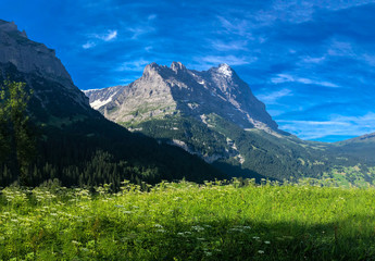 Obraz premium Scenic view of Jungfrau from Grindelwald