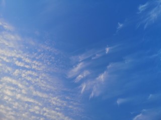 Fototapeta premium Cirrus, white clouds in the blue sky natural background beautiful nature environment