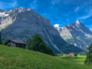 Fototapeta na wymiar A single Hut with magnificent view of the swiss alps in Grindelwald, Switzerland