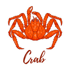 Illustration of japanese spider crab. Design element for logo, label, sign, emblem, poster. Vector illustration