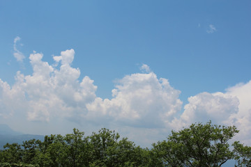 空と雲と木