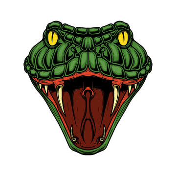 Illustration of head of snake. Design element for logo, label, sign, emblem, poster. Vector illustration