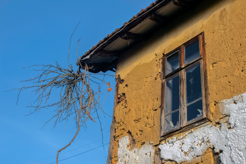 Part of an old farmhouse with branches of а vine against a blue sky. The village of Smolichano in the Osogovo Balkan. Bulgaria.