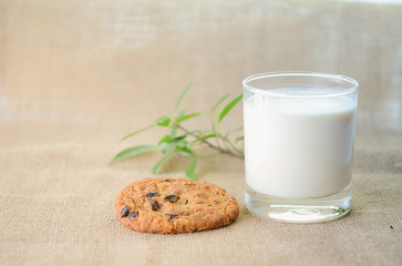Chocolate chips cookies and a glass of milk on a fabric background.
