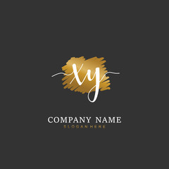 Handwritten initial letter X Y XY for identity and logo. Vector logo template with handwriting and signature style.