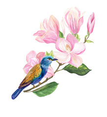 finished image of a blue bird sitting on a pink sprig of Magnolia on a white background, watercolor