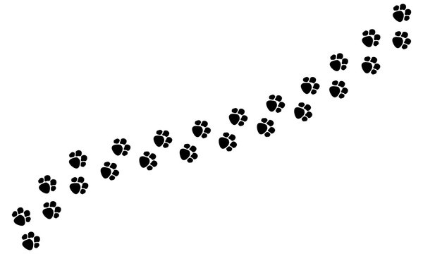Tracks of dog or cat paws isolated on white background. Vector illustration