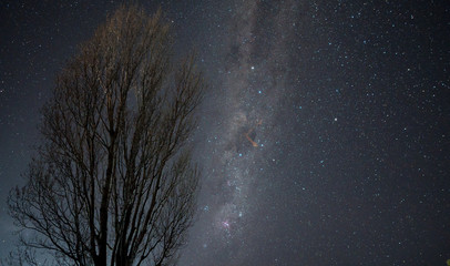 Milky way arcing over a leafless tree with a fireball meteor trail in the sky