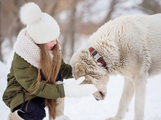 White alabai dog and beautiful girl on a winter day