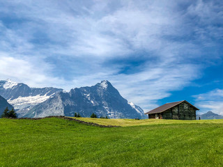 Scenic view of Swiss Alps in Grindelwald, single cottage house at the foot of the alpine, Switzerland