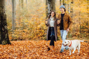 Naklejka na ściany i meble Family and hot autumn drink, couple in love holding cups of tea or coffee and holding hands, walking with dog.