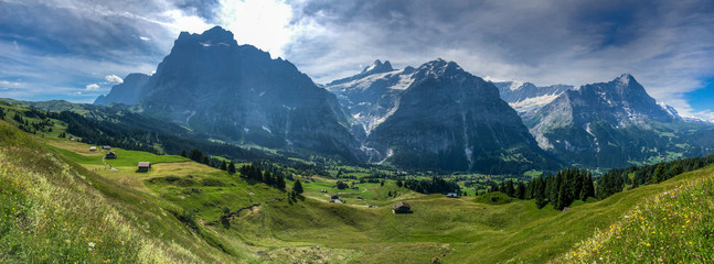 Fototapeta premium Panoramiczny widok na Alpy Szwajcarskie w Grindelwald, Szwajcaria