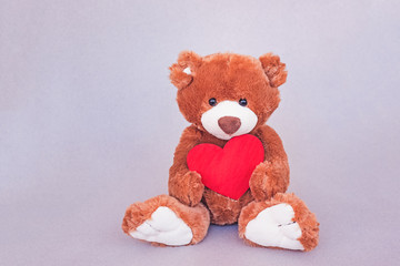 Valentines Day Teddy bear holding red heart