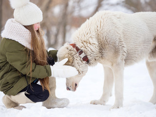 Girl and thoroughbred dog for a walk on a winter day