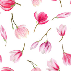 finished image of a seamless pattern of pink Magnolia flowers on a white background, watercolor