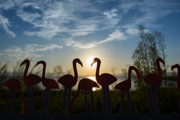 フラミンゴのある風景