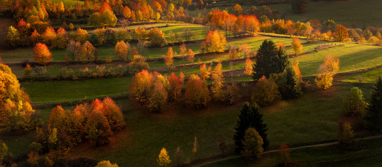 View of the tree valley during sunset. High quality photo