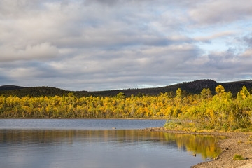 autumn forest on the shore of the fjord, Norway