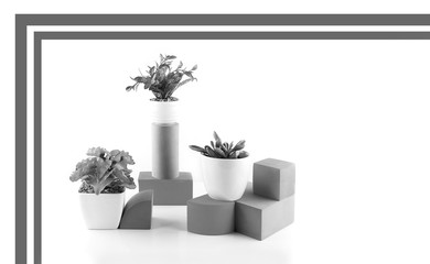 Home gardening, concept. Pot plants, succulents or cacti on geometric shapes. Cube, cylinder, rectangular objects. Black-white. Minimalism, background, still life, side view.