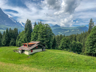 Fototapeta na wymiar A cottage house at the foot of the alpine with scenic view of Swiss Alps in Grindelwald, , Switzerland