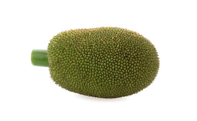 Jackfruit isolated on white background