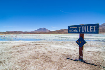 Singboard of the Bolivian Highlands