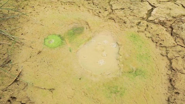 Mud in the source of eruption due to air pressure.