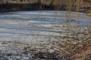 Frozen water surface near the shore of the lake in early winter