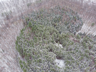 Winter nature, forest, river, village. View from above. Shooting from a copter.