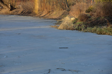 Frozen water surface near the shore of the lake in early winter