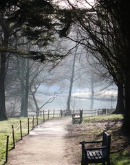 Naklejka premium Path through empty with benches park in winter