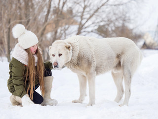 A girl in a white hat and mittens stroking a large purebred Alabai dog on a winter day
