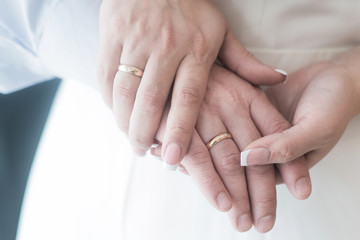  hands of the bride and groom with rings