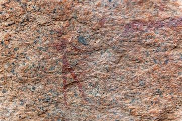 Detail of the prehistoric rock paintings of the San People in Western Namibia, near Spitzkoppe.