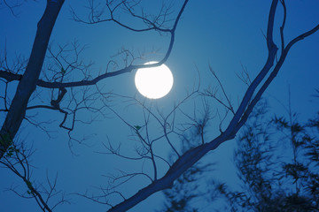 冬の澄んだ空に昇る満月