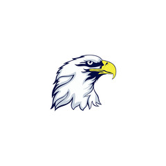 Eagle head mascot logo design