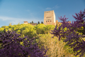 Alhambra palace in Granada, Spain