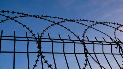 Barbed wire fence at dusk