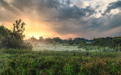 Sunset in the cloudy sky. Summer landscape with trees and grasses.