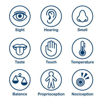 Human Senses Icon Set