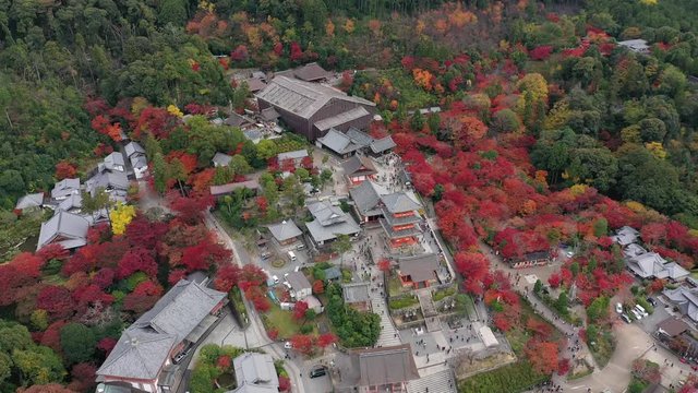 Aerial view of iconic Buddhist temple Kiyomizu-dera in Kyoto City, picturesque autumn scenery with red trees - landscape panorama of Japan from above, Asia