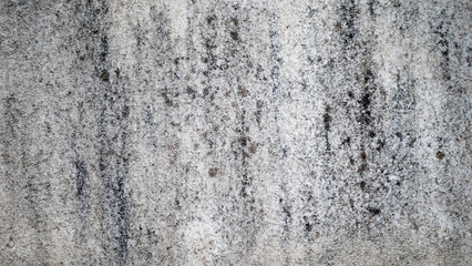 Cement wall 06