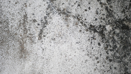 Obraz premium Cement wall 07