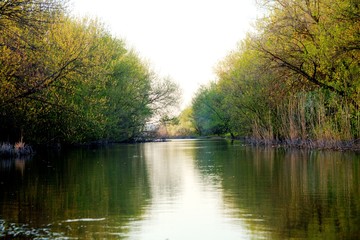 sky and clouds at sunset
