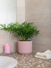 indoor plant in a flower pot, a burning candle and a bath towel near the sink in the bathroom. eco botanical home decor. vertical image.