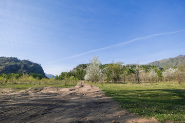 Rural road in the mountains