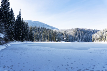 View at the lake Sinevir at winter sunny calm day, view at snowy forest and frozen lake, clear sky, no clouds. Concept of relax and unity with nature. Good for banners.